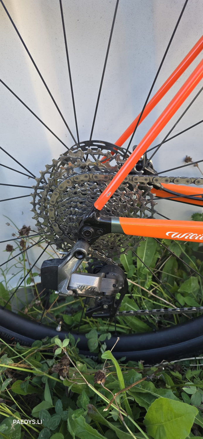 Preview: WILIER Gravel RAVE SLR CAMOUFLAGE / ORANGE GLOSSY DEMOBIKE